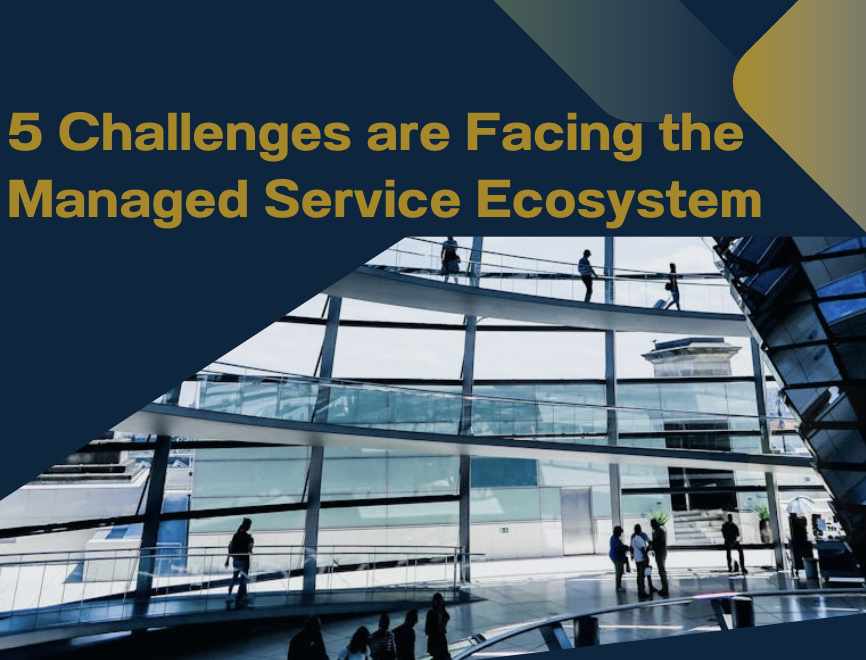 Managed Service Ecosystem