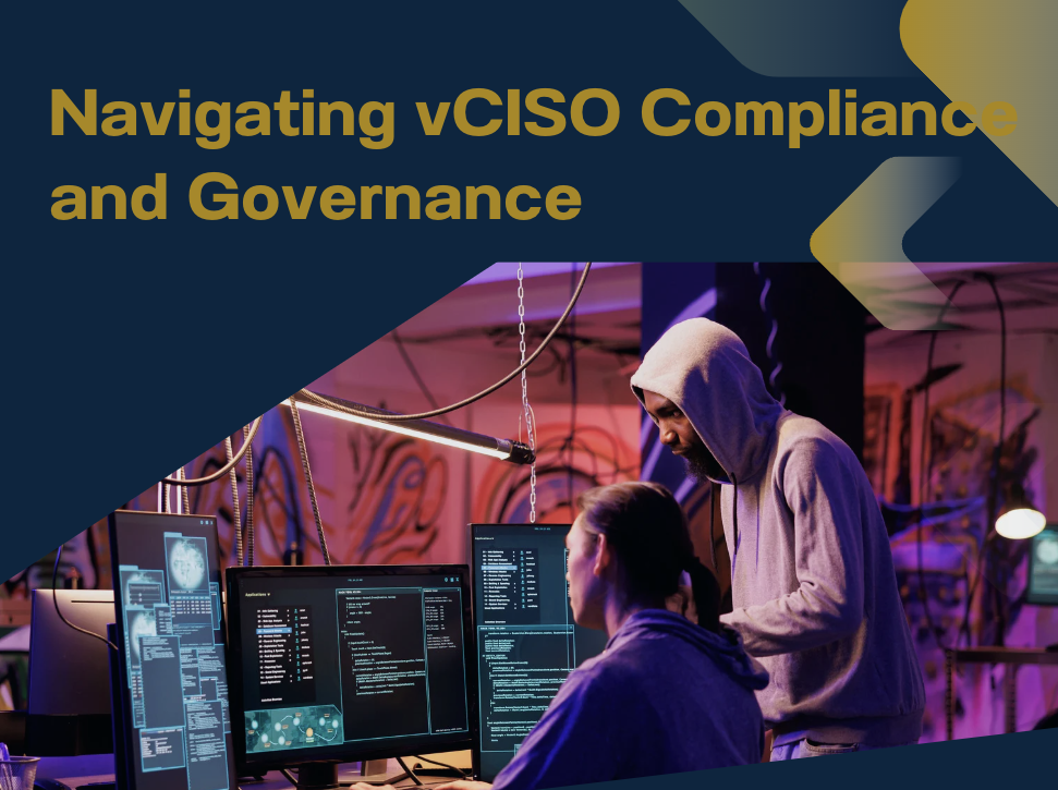 vCISO Expertise